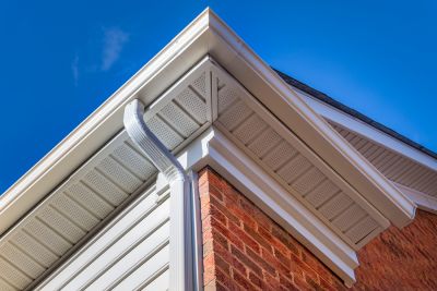 Improve Your Home's Curb Appeal and Increase the Value of the Home with Fascia Repair!
