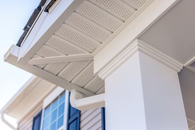 Fix or Replace Your Fascia Boards!